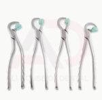 Dental Extraction Physics Forceps