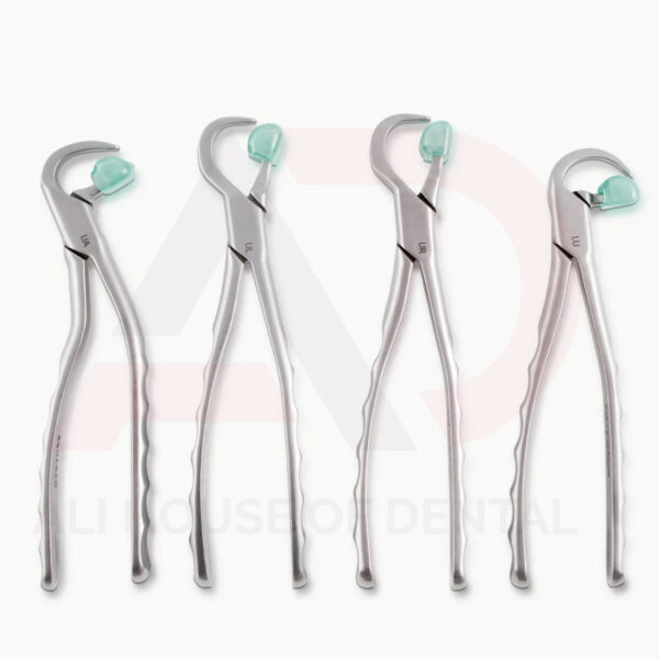 Dental Extraction Physics Forceps