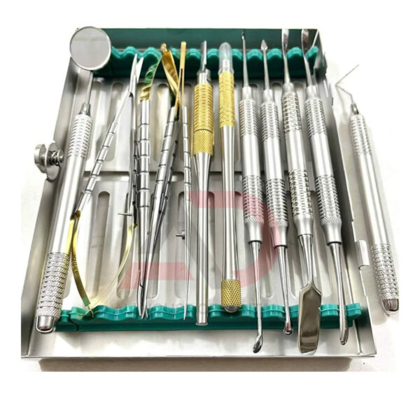 Dental Micro Oral Surgery Instruments Kit